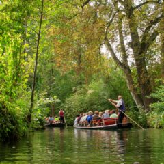 herbert2512 spreewald 2748202