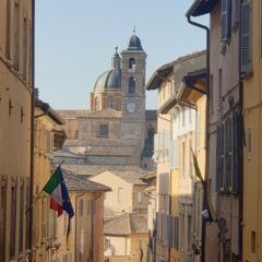 francesco foti urbino 7412857